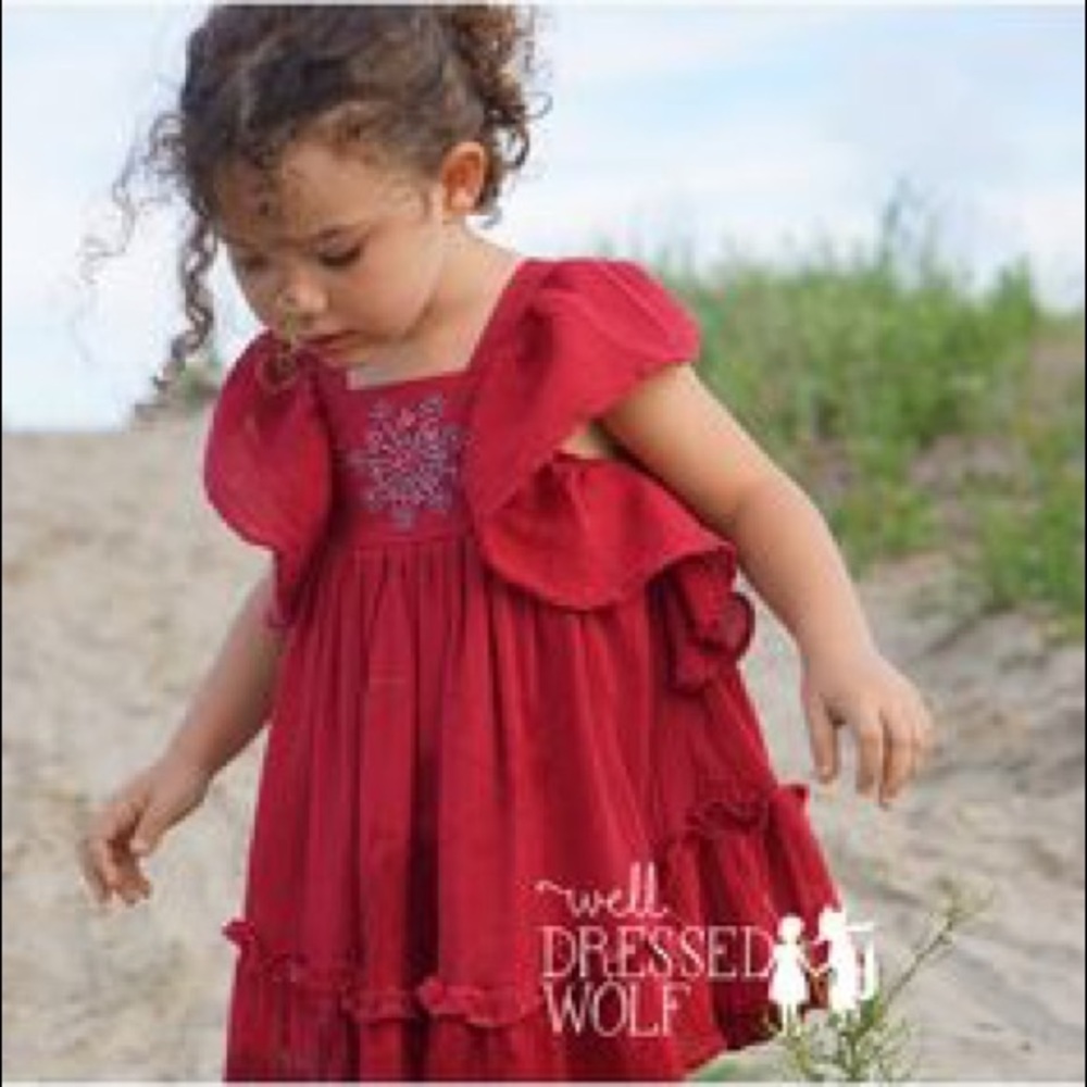 Well Dressed Wolf red Ana firework dress